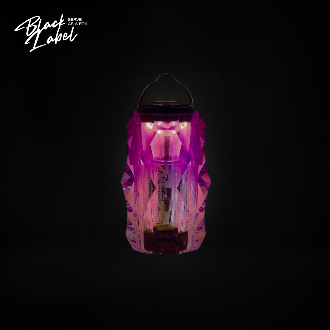 BRIESTA Gradation purple