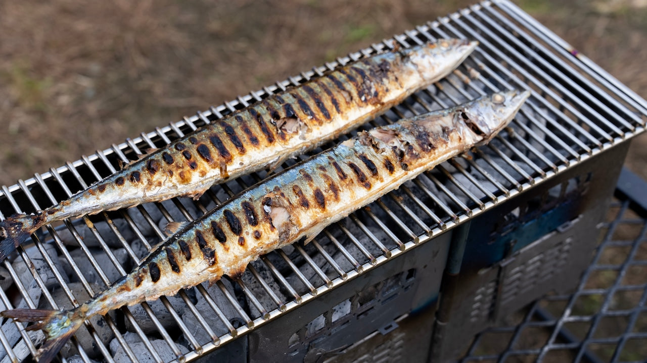 サンゾー工務店 RODAN S-PiKE