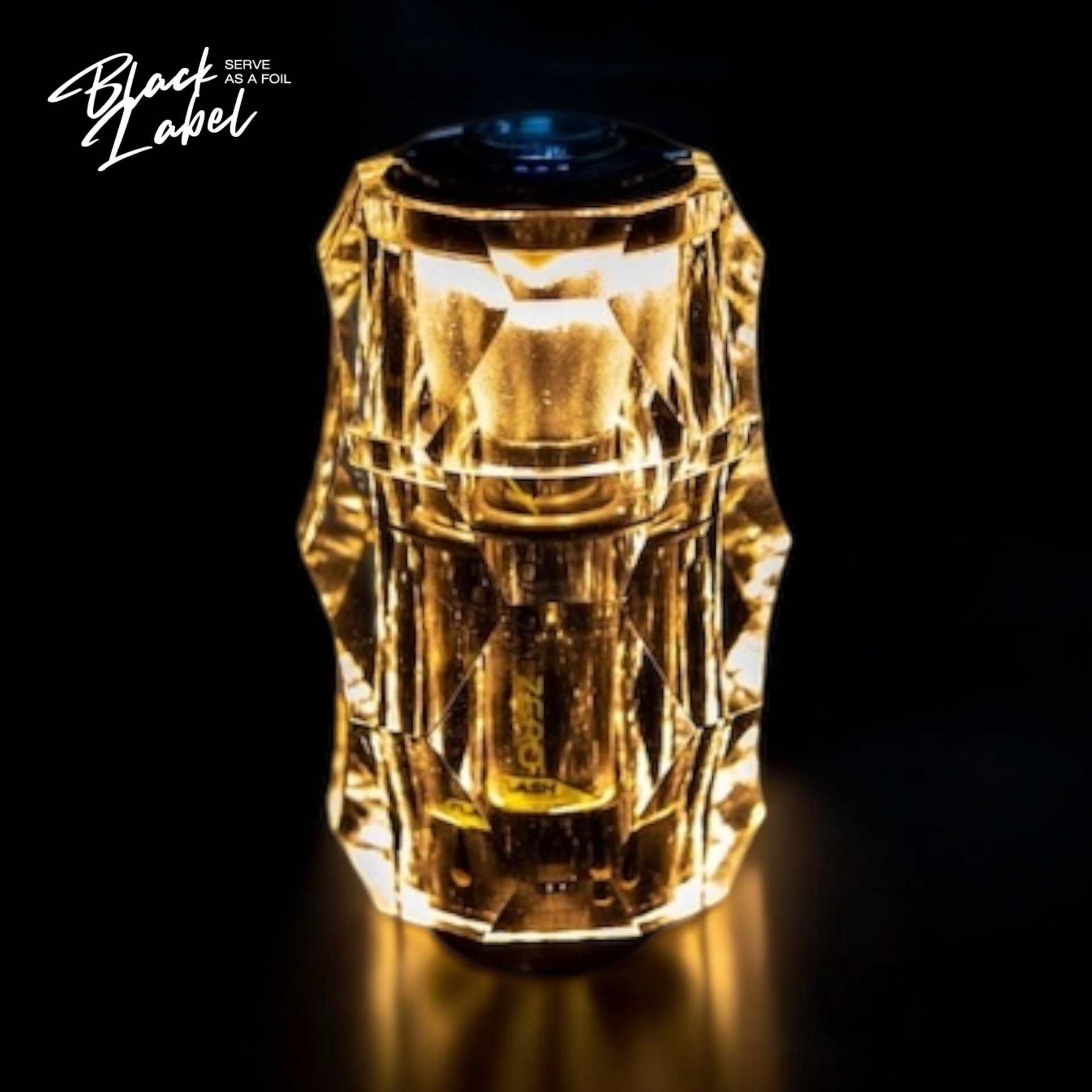 LEDライトカバー ナッツ NUTS ブリエスタ BRIESTA クリア ランタンシェード ランタンパーツ カスタマイズ ゴールゼロ専用