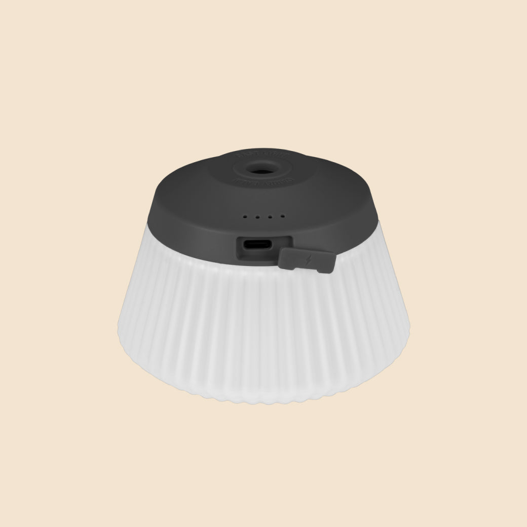 CARGO REEL LIGHT PRO 4colors