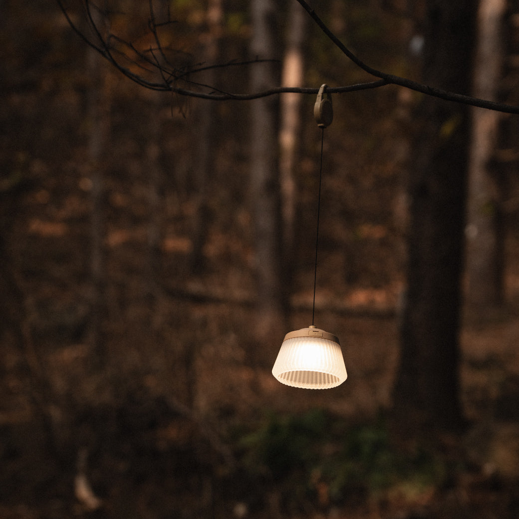 CARGO REEL LIGHT PRO 4colors