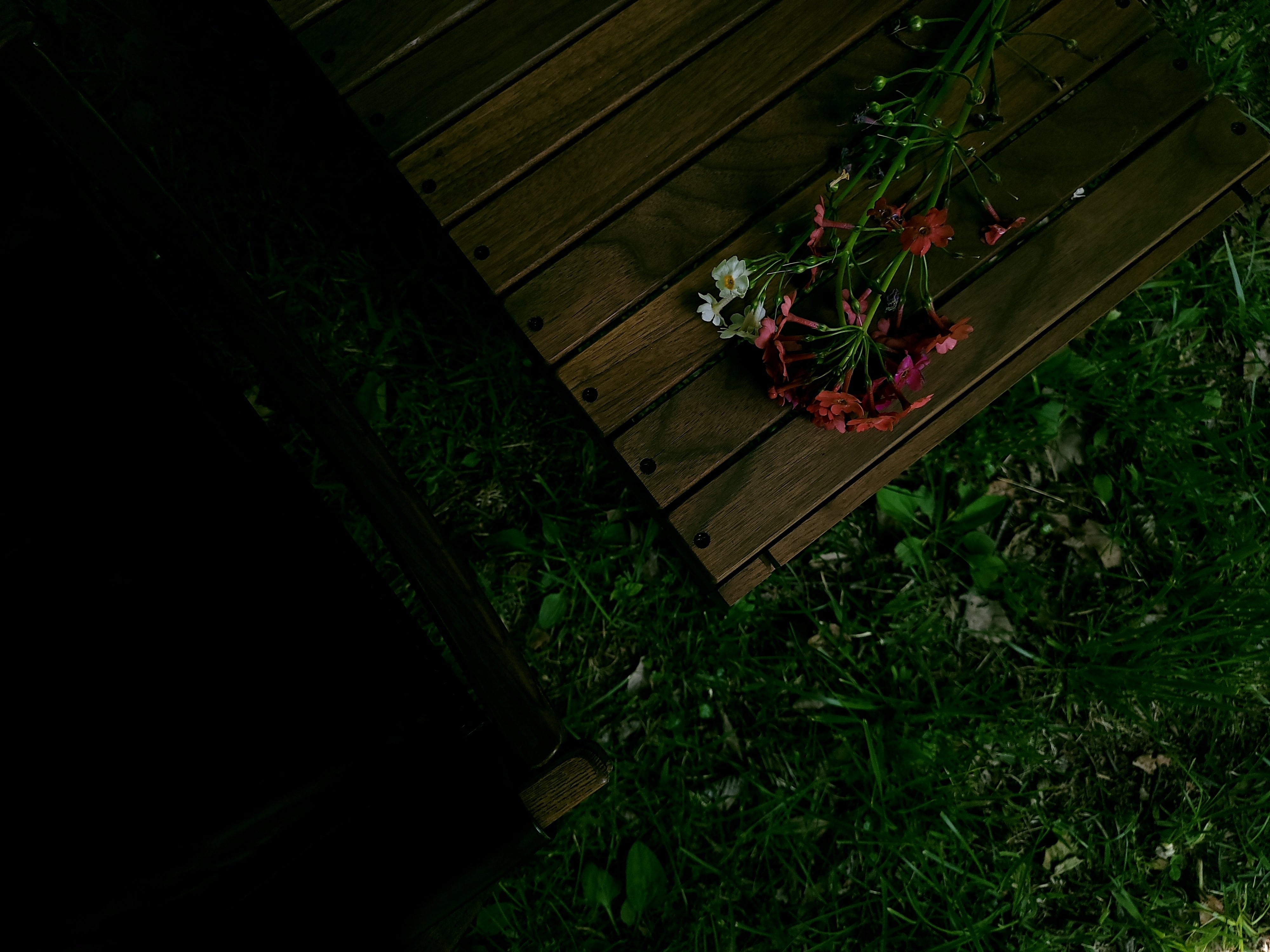 nowellcamp SLIDE-SIDETOP25 – Black Label